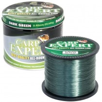 Fir Monofilament Carp Expert Dark Green 1200m