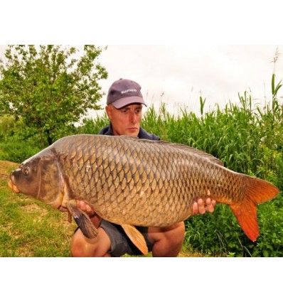 Select Baits boilies Liver Spice + Frankfurter 1kg solubile