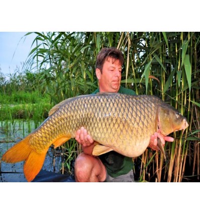 Select Baits boilies Liver Spice + Frankfurter 1kg solubile