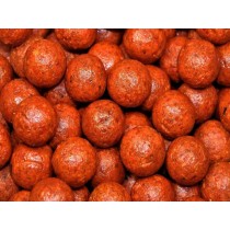 Select Baits boilies Bio-Krill+ N-Butyric & Indian Spice 1kg fierte Select Baits boilies Bio-Krill+ N-Butyric & Indian Spice 1kg fierte