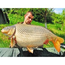 Select Baits boilies Bio-Krill+ N-Butyric & Indian Spice 1kg fierte Select Baits boilies Bio-Krill+ N-Butyric & Indian Spice 1kg fierte
