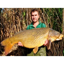 Select Baits boilies Bio-Krill+ N-Butyric & Indian Spice 1kg solubile Select Baits boilies Bio-Krill+ N-Butyric & Indian Spice 1kg solubile