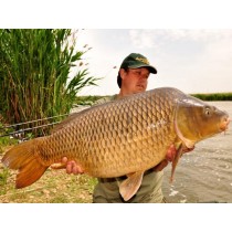 Select Baits boilies Bio-Krill+ N-Butyric & Indian Spice 1kg solubile Select Baits boilies Bio-Krill+ N-Butyric & Indian Spice 1kg solubile