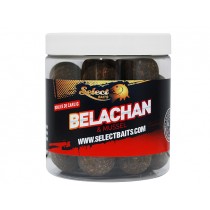 Select Baits boilies de carlig Belachan