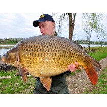 Select Baits boilies Hot Fish + Monster Crab & Black Pepper Oil 1kg fierte Select Baits boilies Hot Fish + Monster Crab & Black Pepper Oil 1kg fierte