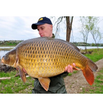 Select Baits boilies Hot Fish + Monster Crab & Black Pepper Oil 1kg solubile