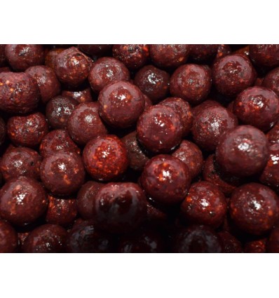Select Baits boilies Meat & Fish + Squid & Octopus & Cranberry 1kg fierte