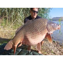 Select Baits boilies Meat & Fish + Squid & Octopus & Cranberry 1kg fierte Select Baits boilies Meat & Fish + Squid & Octopus & Cranberry 1kg fierte