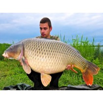 Select Baits boilies Meat & Fish + Squid & Octopus & Cranberry 1kg solubile Select Baits boilies Meat & Fish + Squid & Octopus & Cranberry 1kg solubile