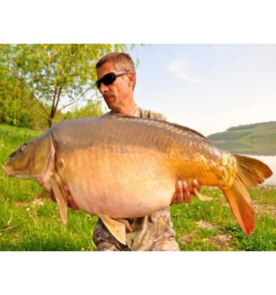 Select Baits boilies Meat & Fish + Squid & Octopus & Cranberry 1kg solubile