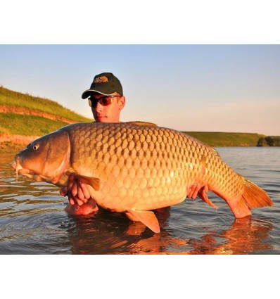 Select Baits boilies Meat & Fish + Squid & Octopus & Cranberry 1kg solubile