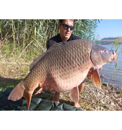 Select Baits boilies Meat & Fish + Squid & Octopus & Cranberry 1kg solubile