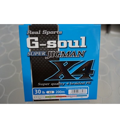 Fir YGK RS G-Soul Super Jigman X4 200m multicolor