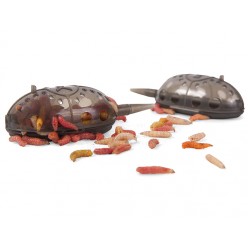 Momitor Korum Grub Feeder Mini 2