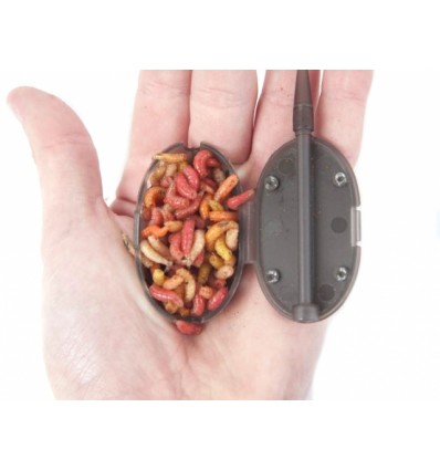 Momitor Korum Grub Feeder Mini