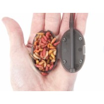 Momitor Korum Grub Feeder Mini