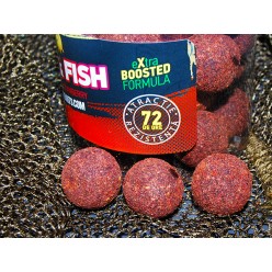 Boilies de carlig special intarit Meat & Fish Select Baits 2