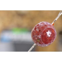 Protectie Boilies Korda Super Wrap