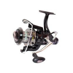 Mulineta Eastshark XY