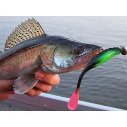 Gambler Flapp'n Shad 10cm Chartreuse Shad 12buc 2