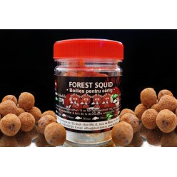 Dudi Bait Boilies Carlig Forest Squid Caramele Solubile 100g