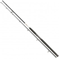 Lanseta Fox Rage Catfish Spin 2.60m 120-200g 2buc