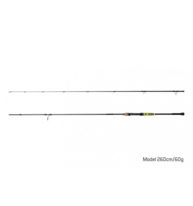 Lanseta Delphin HYPNOOSA 2 tronsoane 210cm/60g