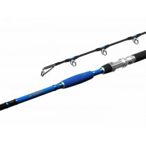 Lanseta Delphin HAZARD 255cm/500g