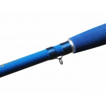 Lanseta Delphin HAZARD 255cm/500g