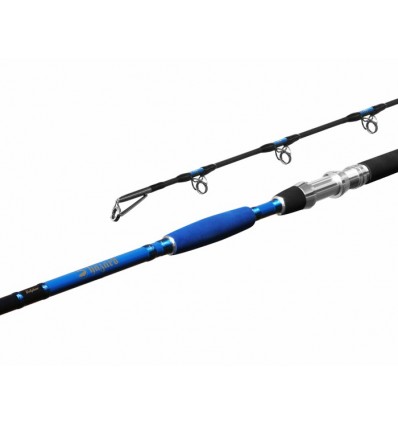 Lanseta Delphin HAZARD 255cm/500g