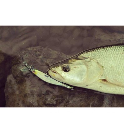 Vobler Rapala Ripstop 12cm 14g YP SP