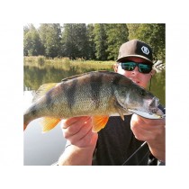 Vobler Rapala Ripstop 12cm 14g S SP
