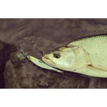 Vobler Rapala Ripstop 12cm 14g S SP