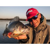 Vobler Rapala Ripstop 12cm 14g S SP