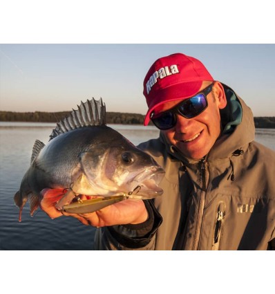 Vobler Rapala Ripstop 12cm 14g PD SP