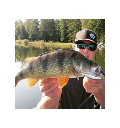 Vobler Rapala Ripstop 12cm 14g MRL SP