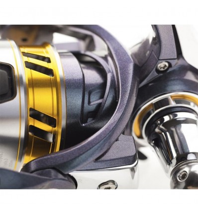 Mulineta Daiwa Regal LT
