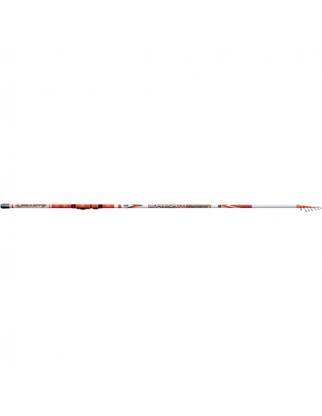 Varga Telescopica Lineaeffe Dream Evolution Bolo, 5m, 30g Varga Telescopica Lineaeffe Dream Evolution Bolo, 5m, 30g