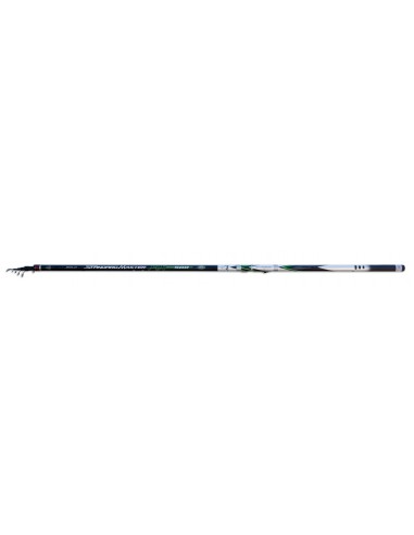 Lanseta Lineaeffe Standard Master Carbon Bologneza, 6.00m, 5-25g