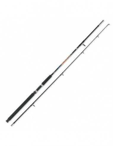Lanseta Lineaeffe Mustang Catfish, 2.70m, 100-250g, 2buc