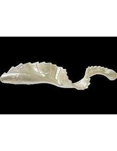 Grub Mister Twister G-Grub, White Pearl, 8cm, 4buc/plic