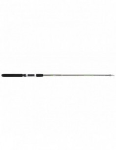 Lanseta Sert Fish Instinct FW20 Telespin, 2.10m, 10-30gr